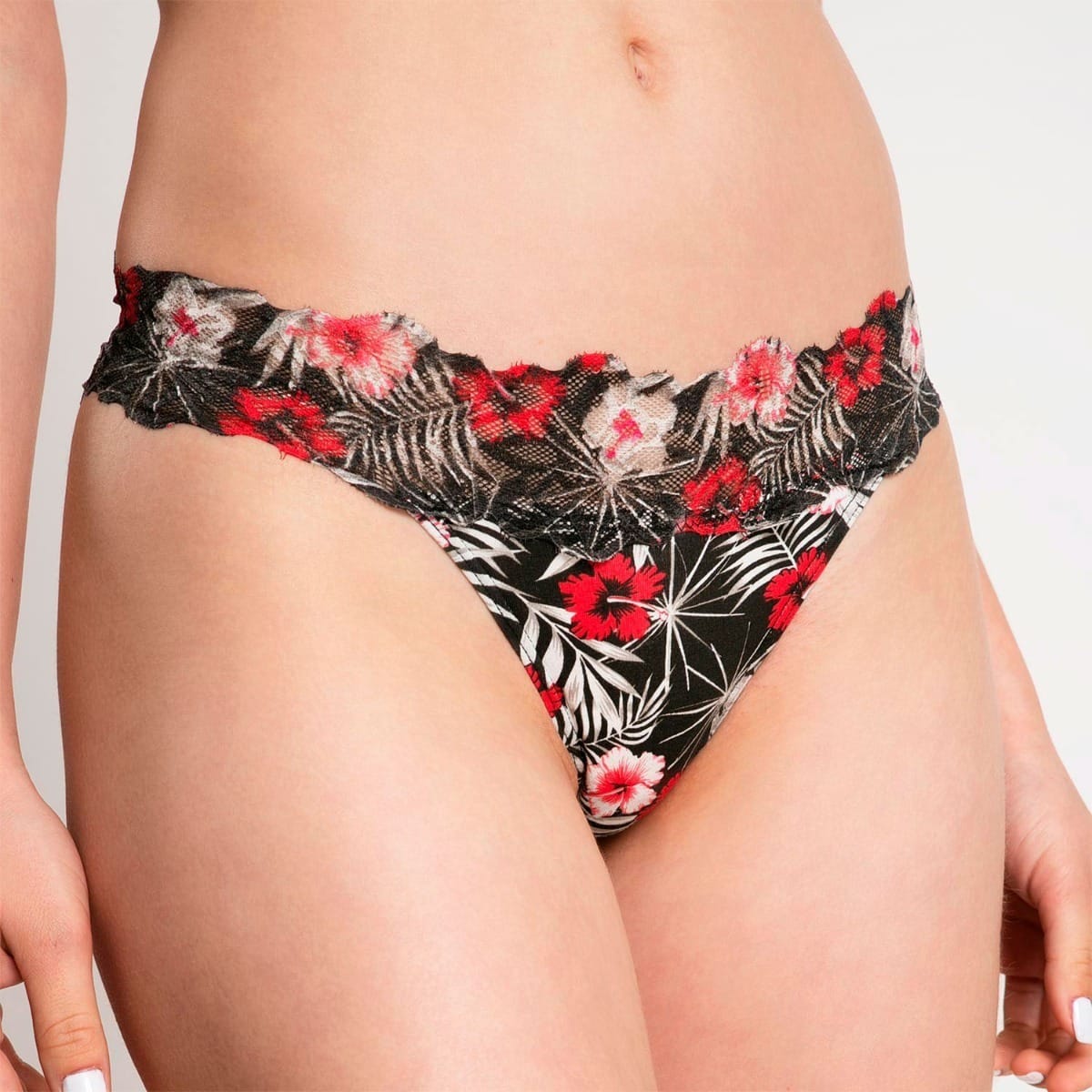 Colaless cotón spandex