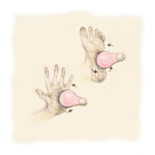 Estimulador Gvibe Bulb - Imagen 2