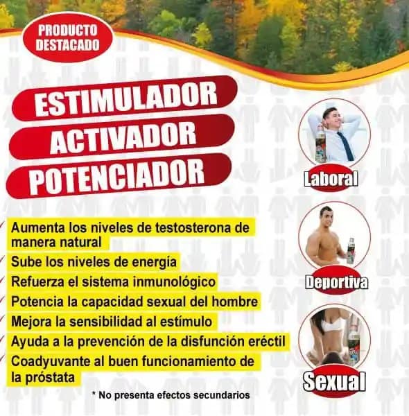 Mero Macho Jarabe - Imagen 2