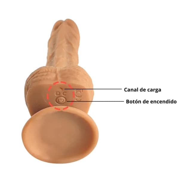 Rotador con control Vince - Imagen 7