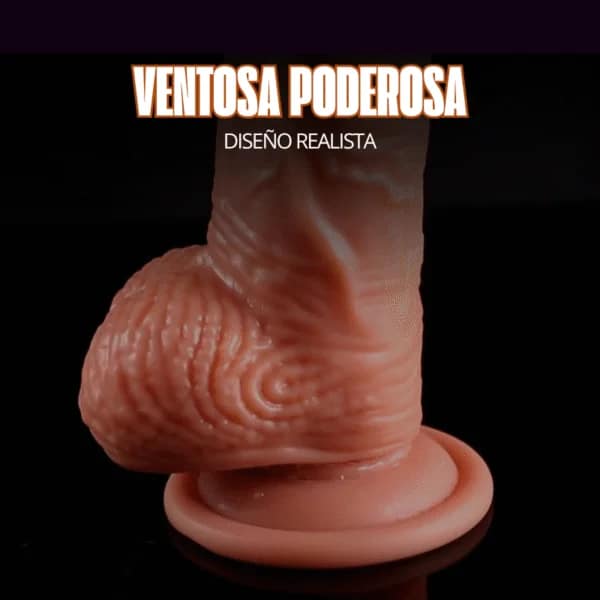 Rotador con control Vince - Imagen 6